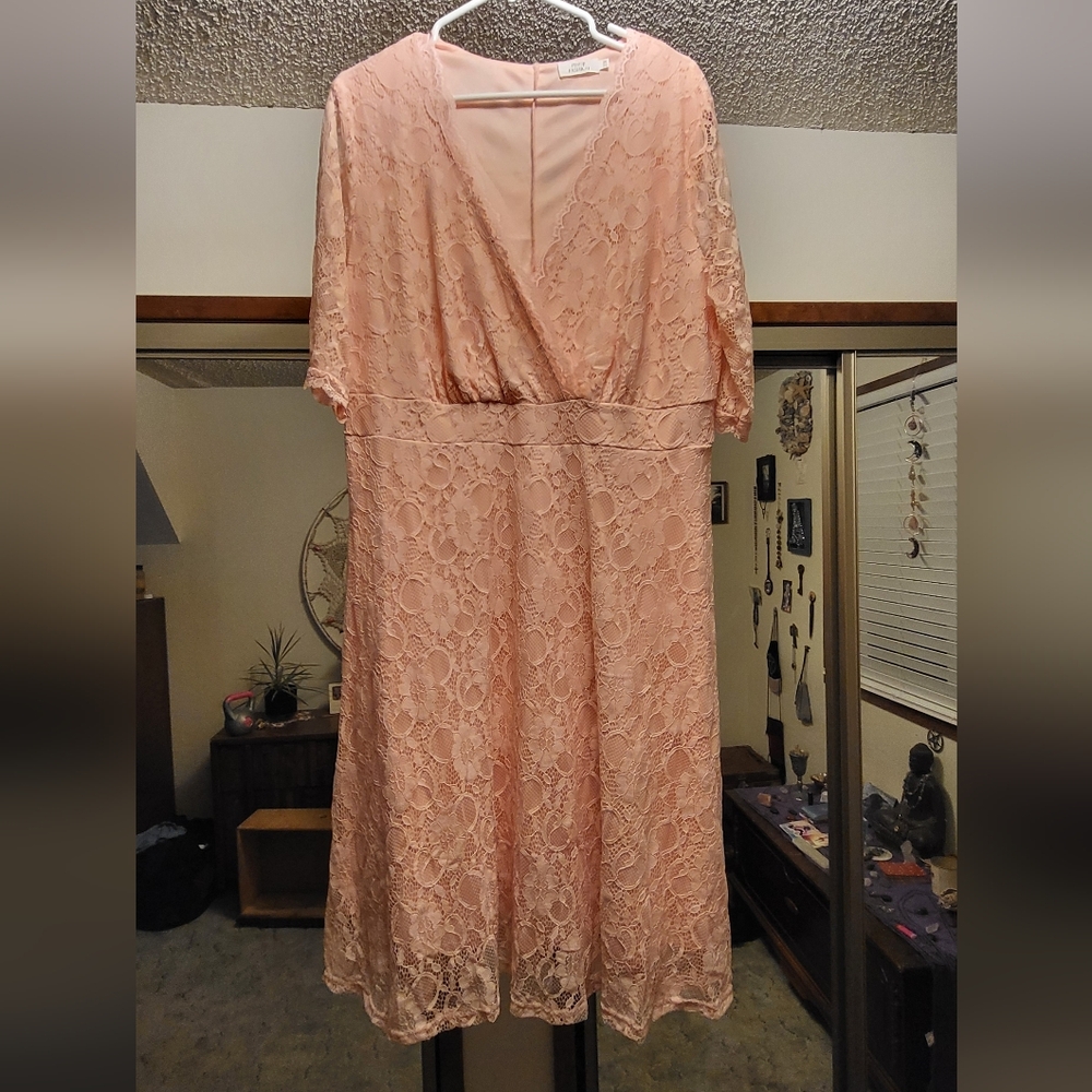 Elegant Pink Lace Dress